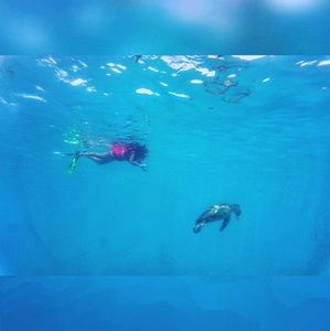 Meet your Posher, Connie